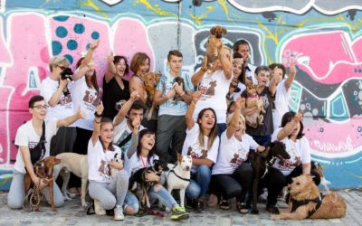 Mi Trampolín solidario: Rescate animal Granada.